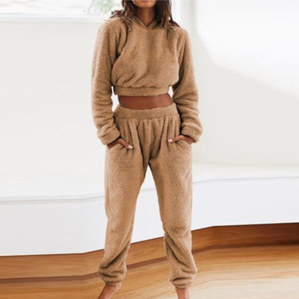 Women's Plush Hooded Long-sleeved Top Elastic Waist Trousers Casual Two-piece Set - Image 4