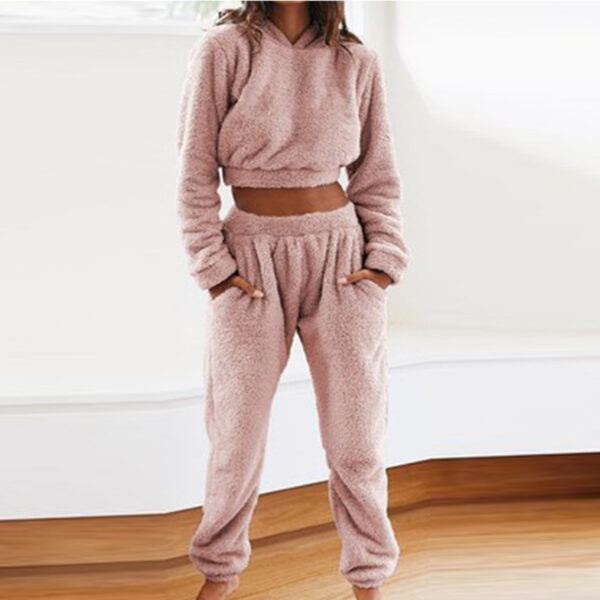 Women's Plush Hooded Long-sleeved Top Elastic Waist Trousers Casual Two-piece Set - Image 2