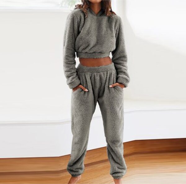 Women's Plush Hooded Long-sleeved Top Elastic Waist Trousers Casual Two-piece Set - Image 3